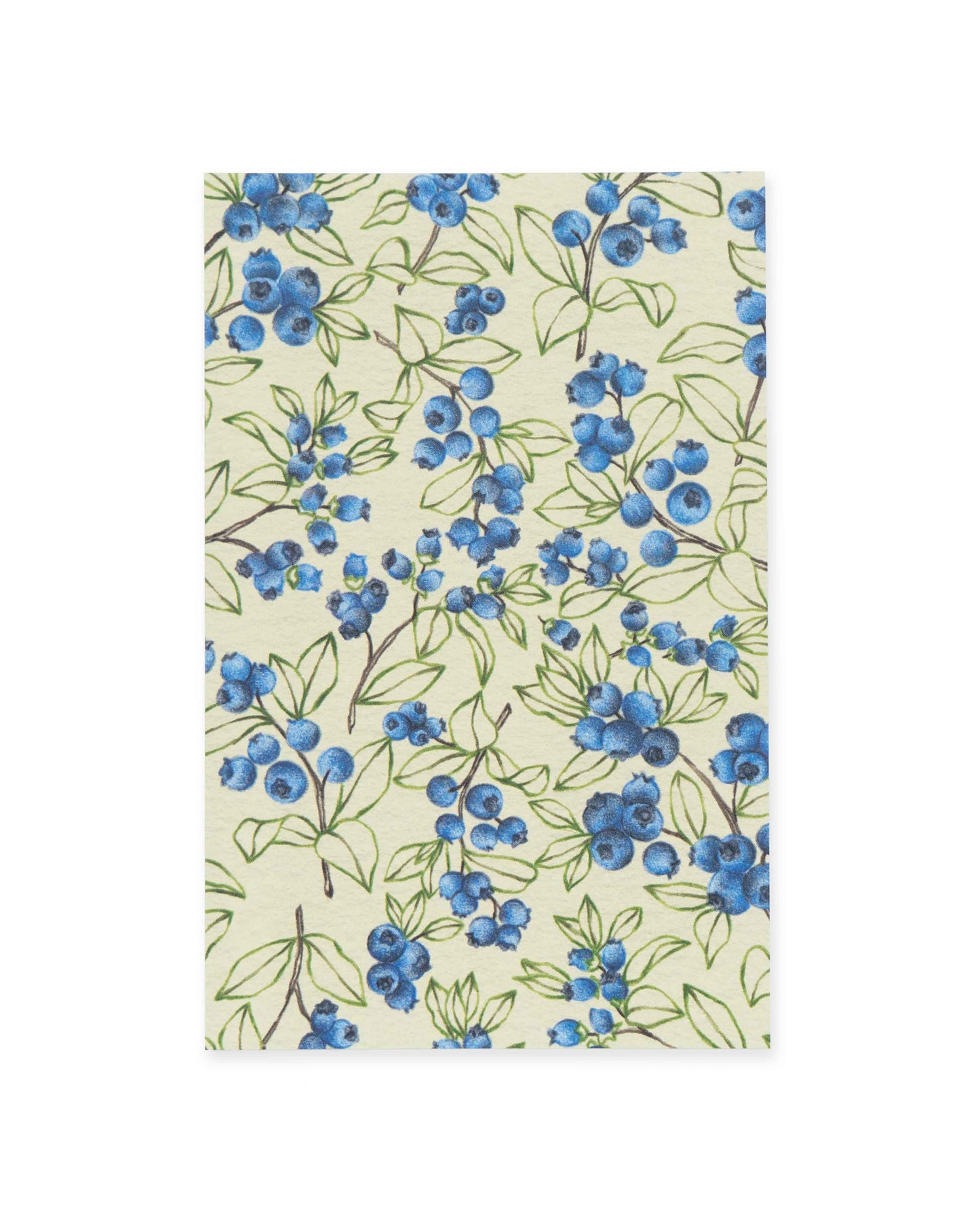 Blåbær kort