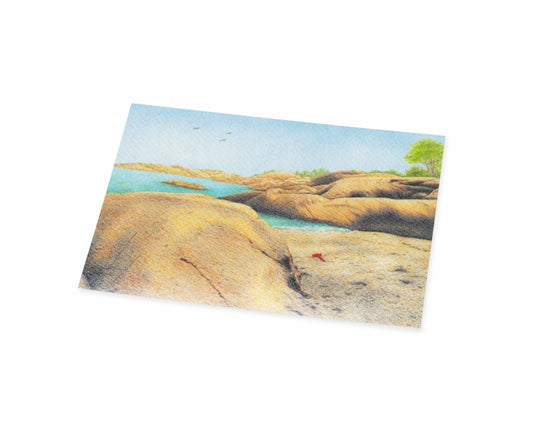 Lilleskagen nr.2 postkort