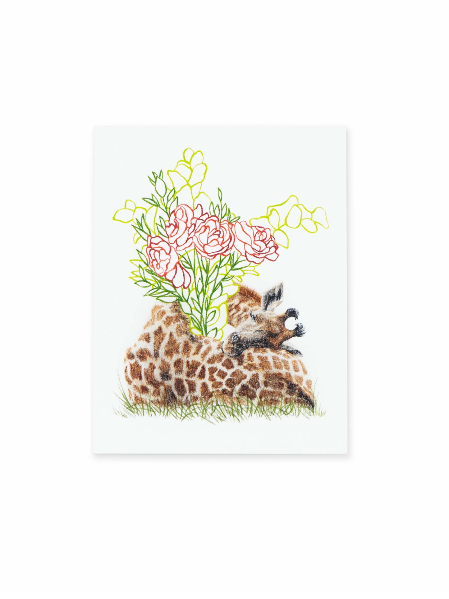 Søvnig giraff foldekort