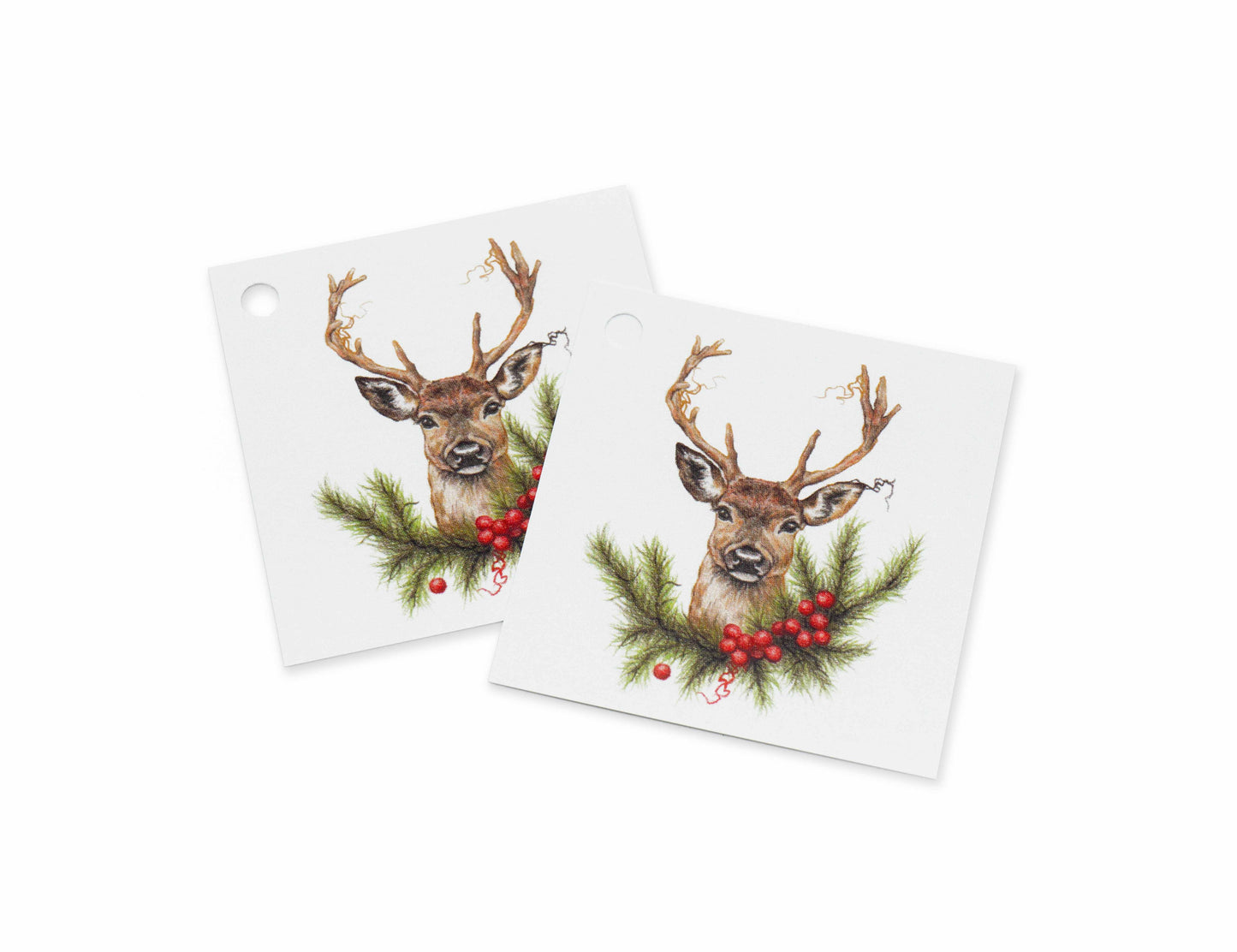 Majestetisk hjort gavelapper