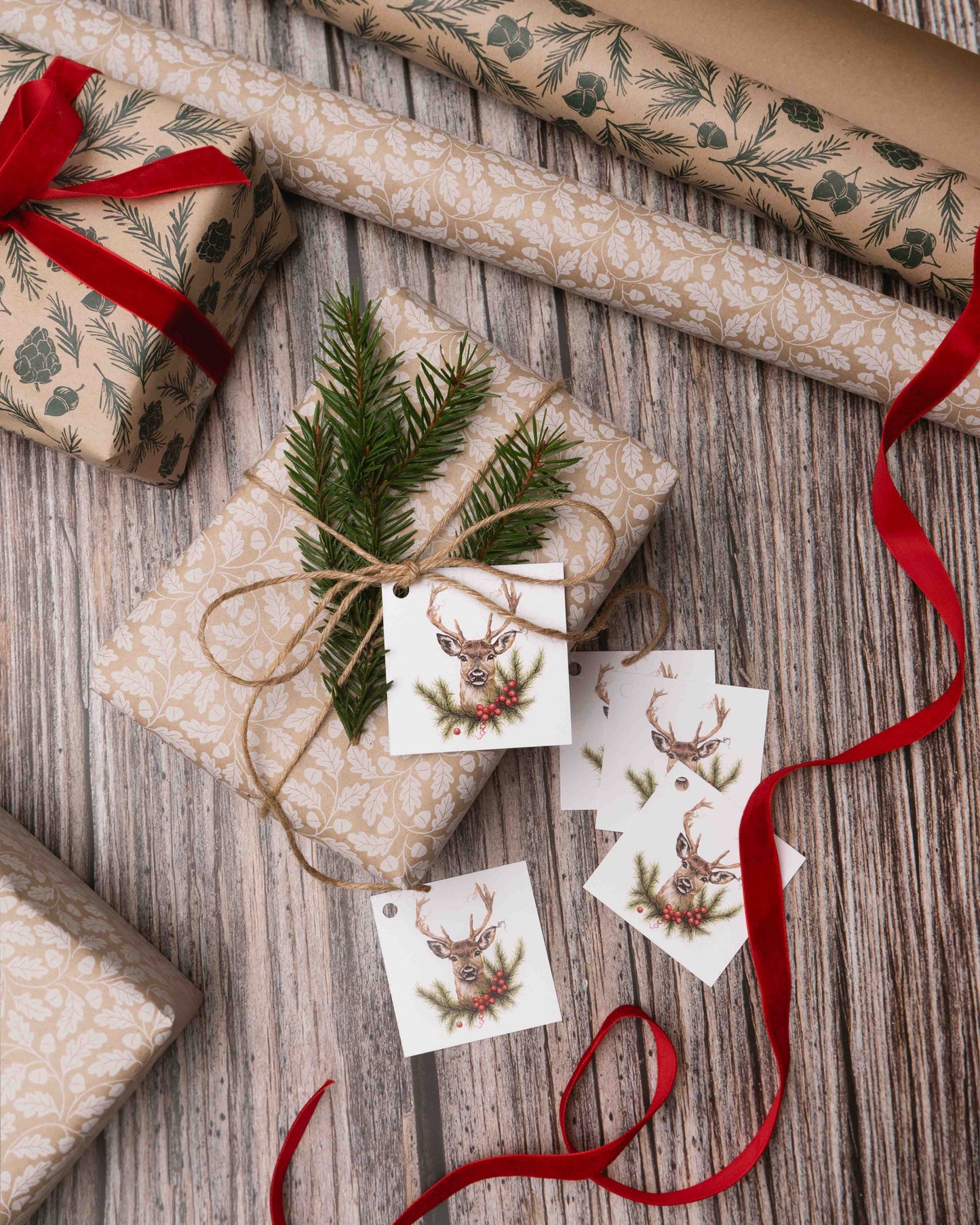 Majestetisk hjort gavelapper